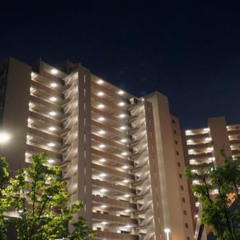 MapleHeights x "twinkle night"
