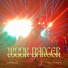 Wook Dancer (Juicy Flip)