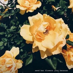 Ferrari❤️🩶🖤