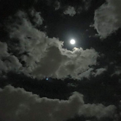 달이 참 예쁘잖아요