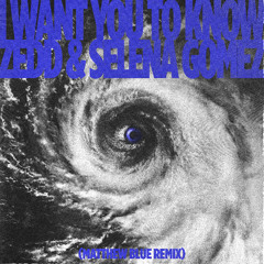 Zedd & Selena Gomez - I Want You To Know (Matthew Blue Remix)