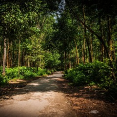 Those Lazy Sundays (by Kuomi)