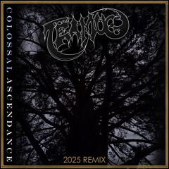 Ascent of the Contestants (2025 Remix)