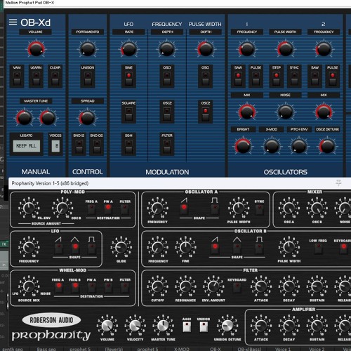 Wilds Ambitions YMO Cover