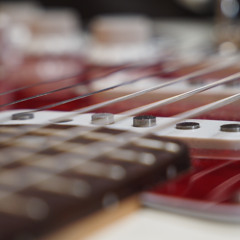 The World (is such a fucking shit show)