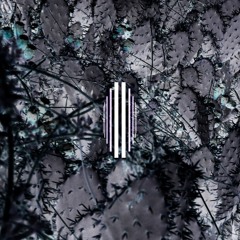 comet