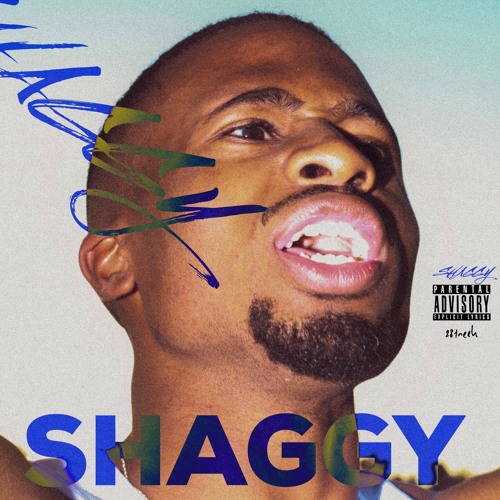 Shaggy (Clean)