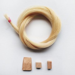 sunshine strands
