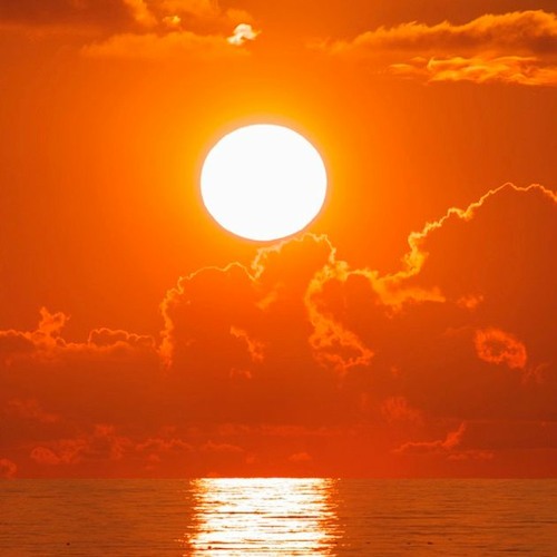 Light Of Life