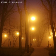 Poisonoise Music - Guest Mix - EPISODE 113 - SCHULZ AUDIO