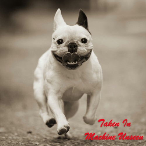 Taken In - Featuring Bill Concello (Drums)