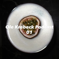 Ole Krebeck Podcast 01 (PROGRESSIVE HOUSE)