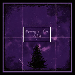 Feeling In The Night