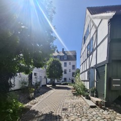 Mot de ljusa