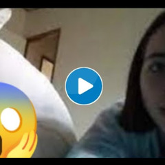Original: Skirby dog video denise frazier 619 dog twitter