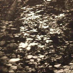 Time Itches in the Corner