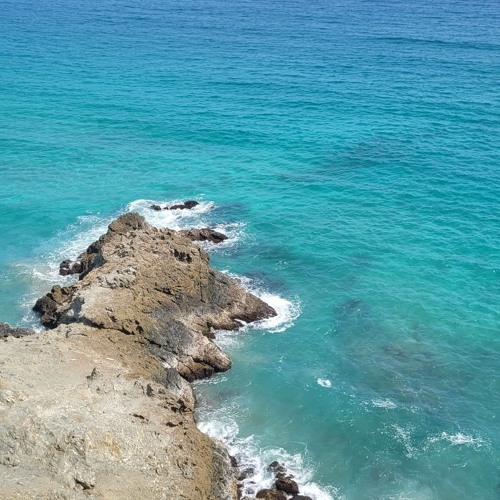 Tales of the Echosystem : Entropy