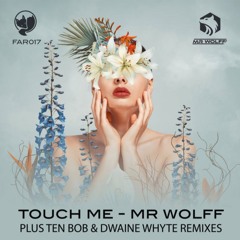 Touch Me - Mr Wolff (Club Mix)