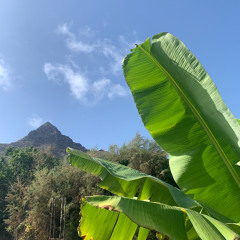 Cute Community Picnic - extended mix by MFATICC