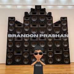 Tsuruda x BRANDON PRASHAN (ft. cousin litt) - “Bruiser” (flip)