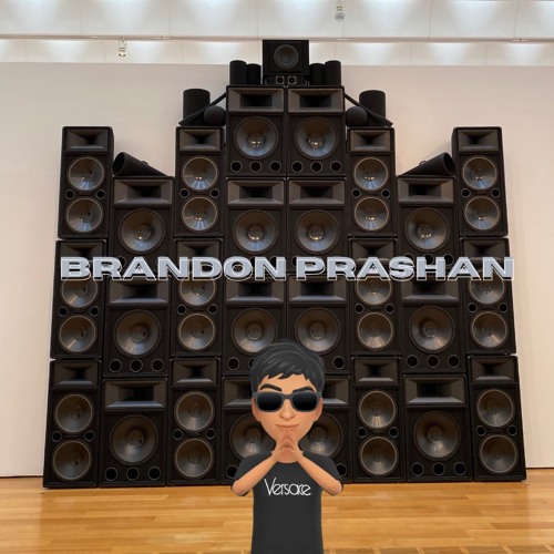 Tsuruda x BRANDON PRASHAN (ft. cousin litt) - “Bruiser” (flip)