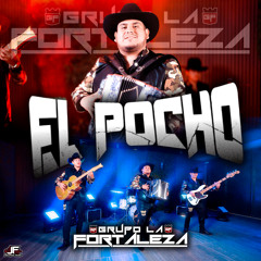 El Pocho