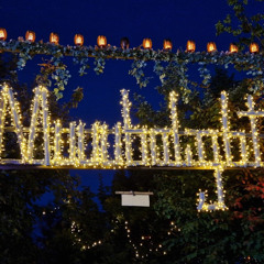 opening muuuhnlight 2025