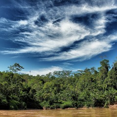 You So טל ואלה