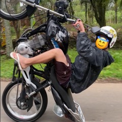 AÇÃO INVESTIGATIVA