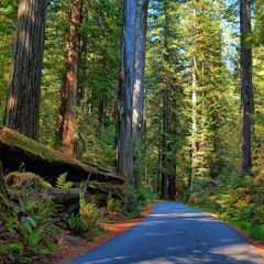 Piano Beat Wav Final