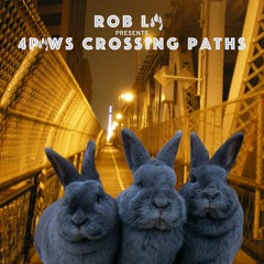 Rob La presents: 4PAWS Crossing Paths