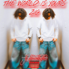 JUELZ ZEIGLER - “ As Much As I Did “ THE WORLD IS YOURS ZIG (Album)