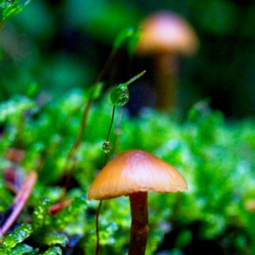 IN THE MOST UNLIKELY PLACES 2