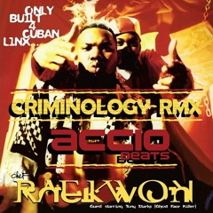 Raekwon feat. Ghostface Killah - Criminology RMX (prod. Accio)