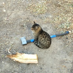 epic song (demo).mp3