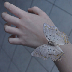 i'll leave a trace before you forget my face