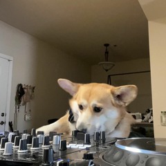 2k23 Selected Mixes
