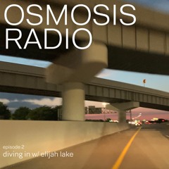 Osmosis Radio (ep 2) 'diving in w/ elijah lake'