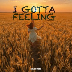 I gotta feeling - Black Eyed Peas (LUIV BOOTLEG) (FREE DOWNLOAD)