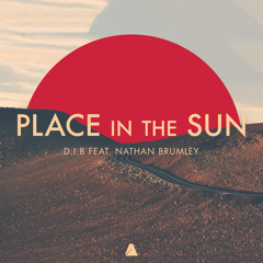 Place in the Sun (feat. Nathan Brumley)