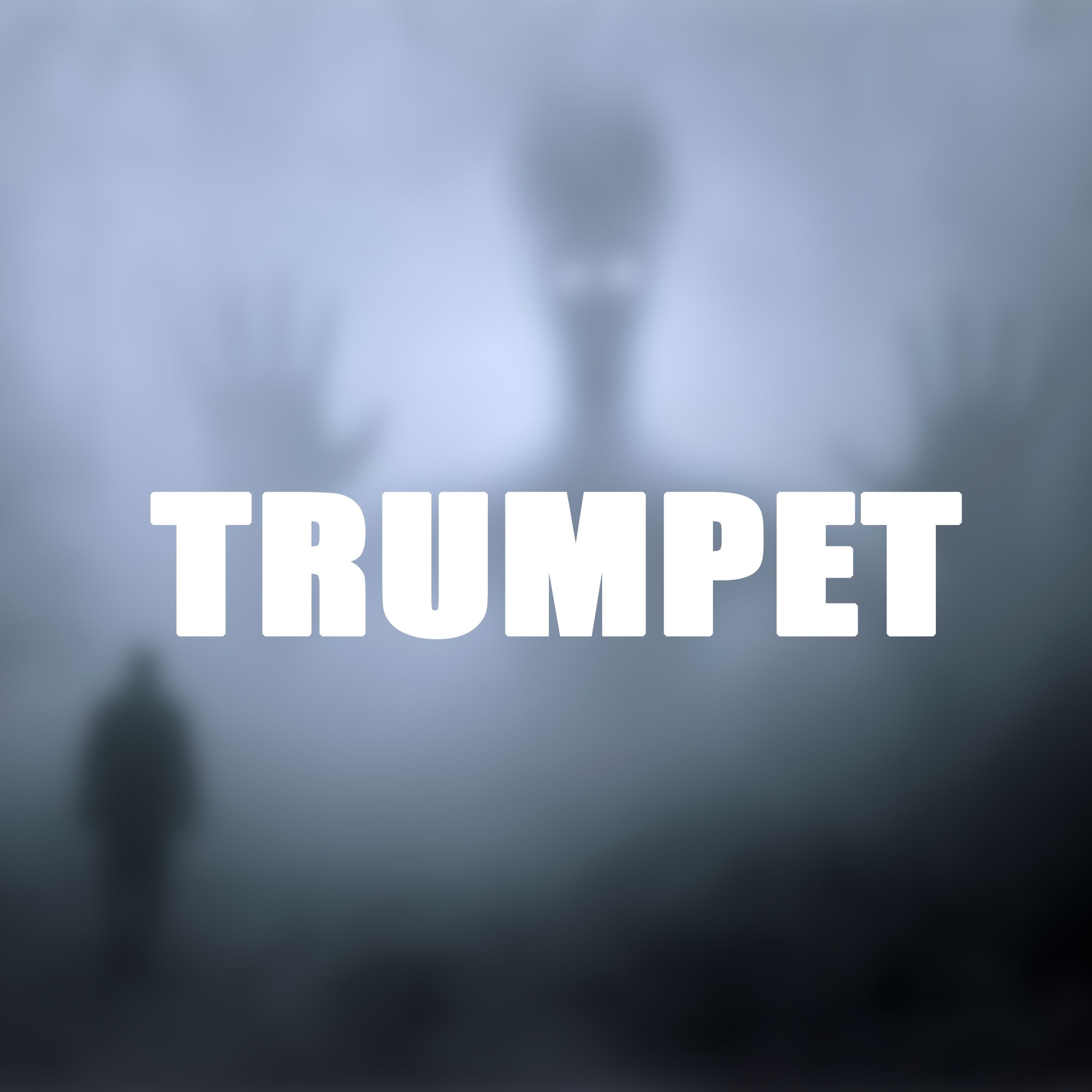 Track cover