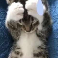lazyy 😴