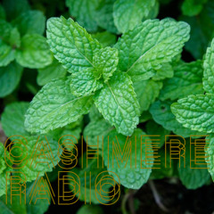 @Cashmere Radio - Minty Fresh w/ peppermintphil #1 Juju
