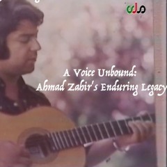 A Voice Unbound: Ahmad Zahir's Enduring Legacy