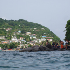 May14 2025 Day 2 [v1.2]