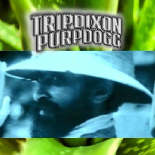TRIP DIXON & PURPDOGG