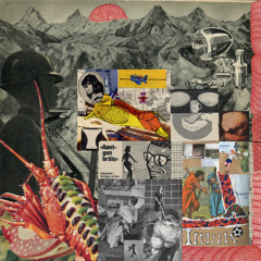 Frank Sinatra Impersonator