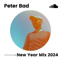 Pantomime electro - studio rennfisch - New Year's Mix 2024