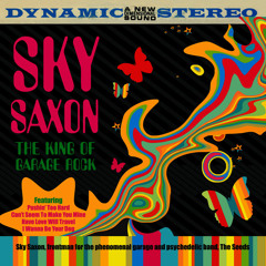 Sky Saxon - Can't Seem To Make You Mine
