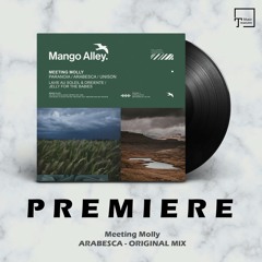 PREMIERE: Meeting Molly - Arabesca (Original Mix) [MANGO ALLEY]